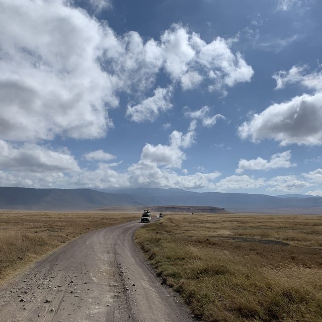 Wildlifes at their best, Ngorongoro