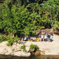 Rain Forest Resort (Thailand )