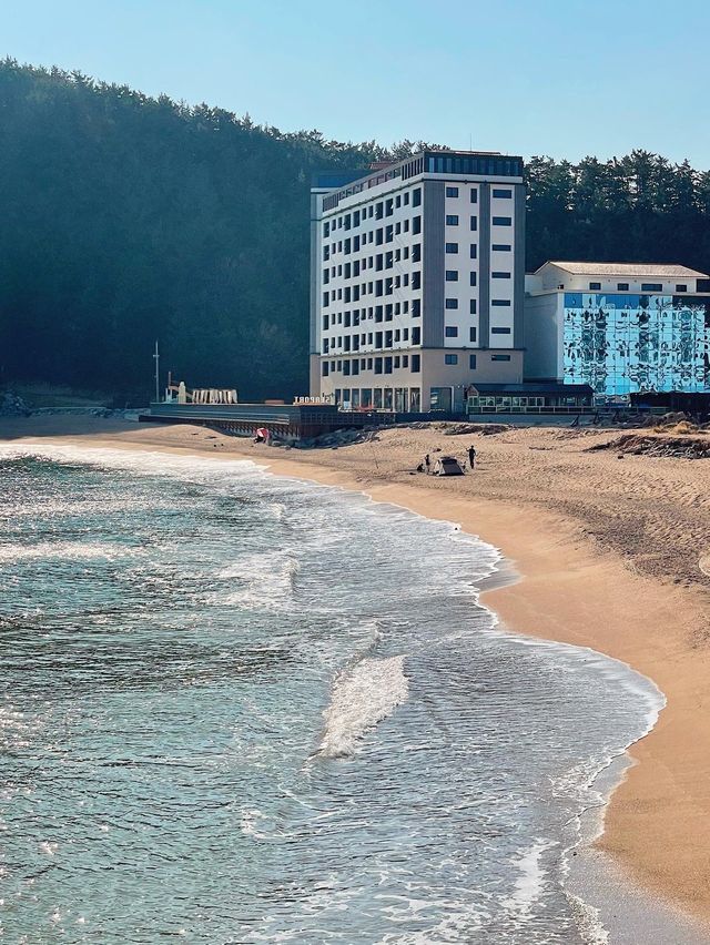 산책로가 잘 되어있는 가성비 수영장 리조트, 영덕 "씨포트리조트" 