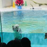 飼育種類数 日本一！鳥羽水族館