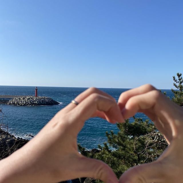 제주도에 가면 꼭 가봐야 할 제주시 핫플장소