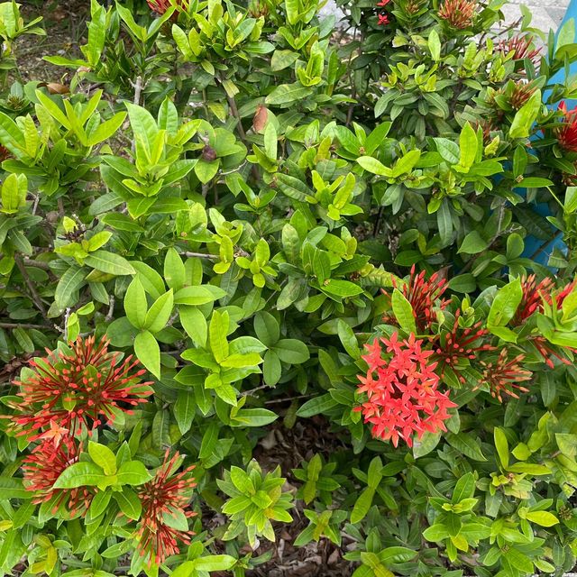 屯門海濱花園