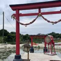 向日葵之旅