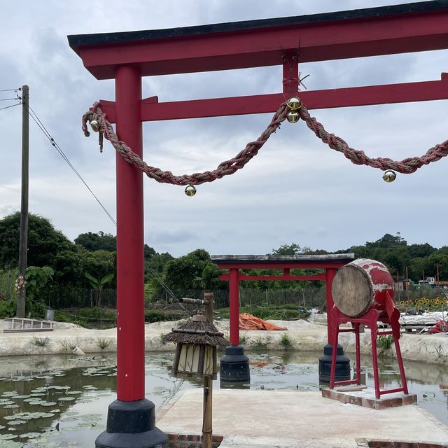 向日葵之旅