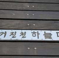 진처롱다리