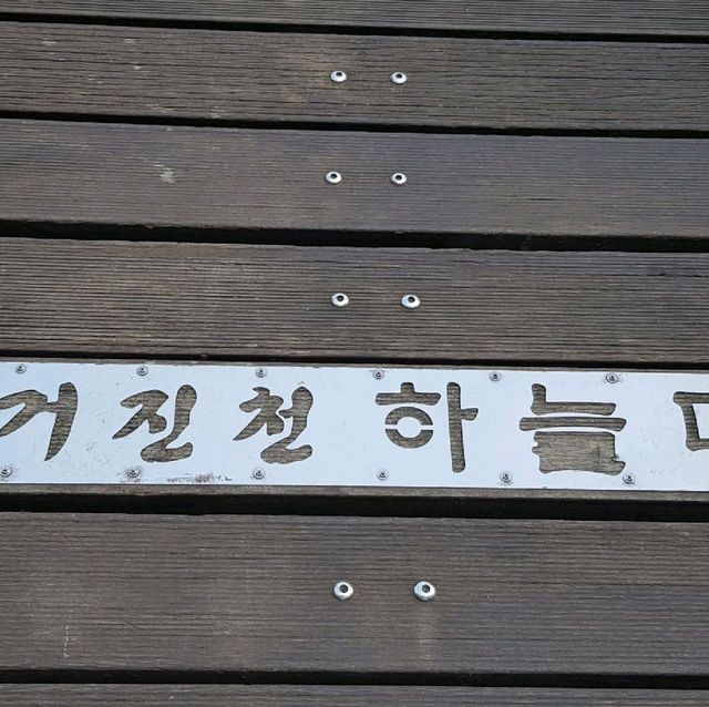 진처롱다리