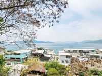坪洲環島遊
