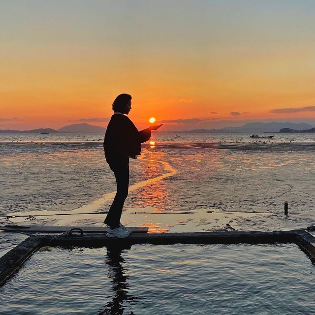 일몰 보러 와온 갈래?🌅