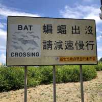 北海岸//蝙蝠洞公園