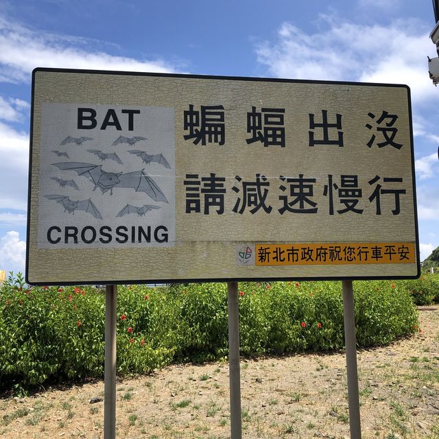 北海岸//蝙蝠洞公園