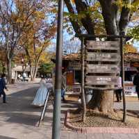 가을에 용인 가볼만한곳🍂한국민속촌