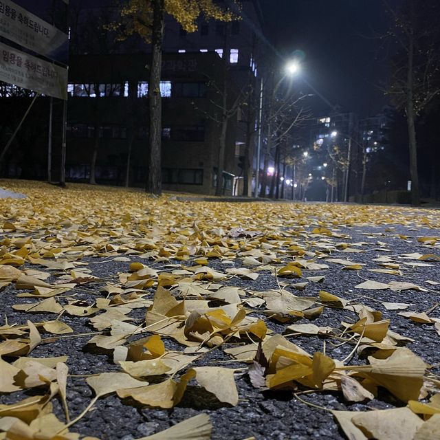 Autumn in Samsung Library