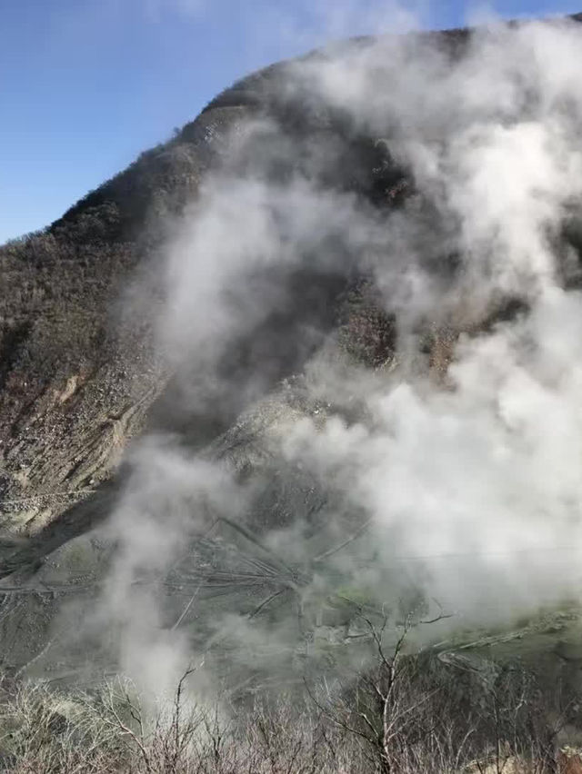 東京攻略 箱根火山-大涌谷