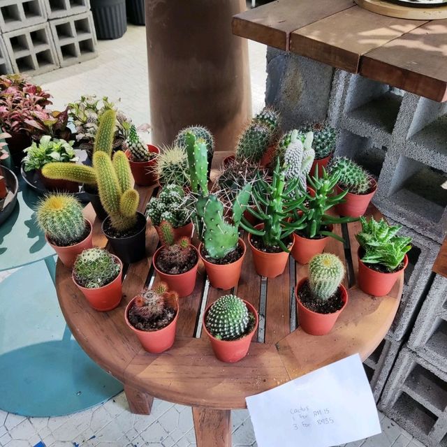 Naug Cafe Plants Make People Happy