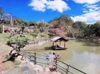 【新竹】休閒觀光農場|親子景點|鴛鴦池農場