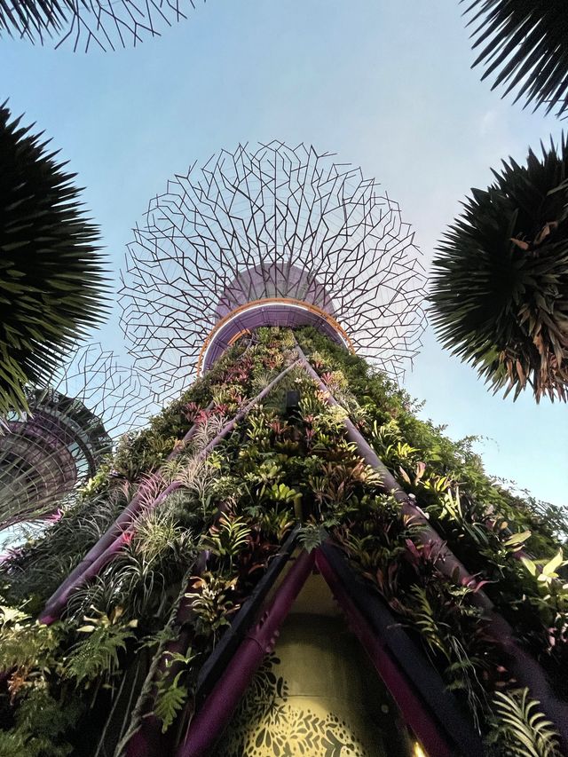 Gardens By the Bay