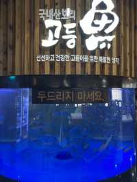 고등어회 맛집