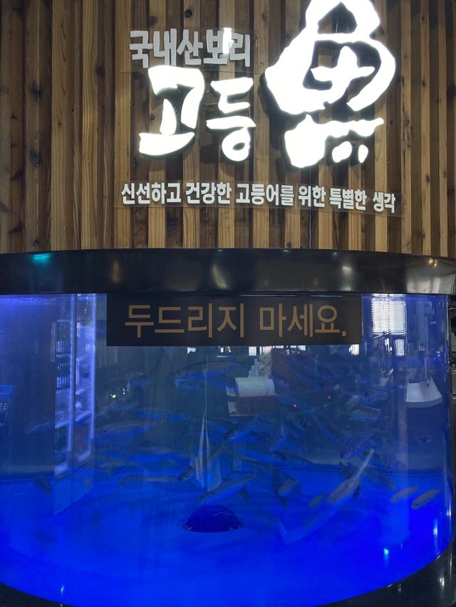 고등어회 맛집