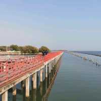 สะพานแดงศาลมัจฉานุ
