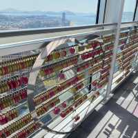 【福岡】福岡市街を一望！絶景が楽しめるタワー