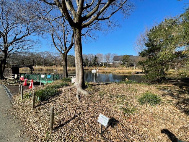 川島パーキングエリアにあるかなり大きい公園！【河川環境楽園】