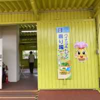 【沖縄･本島】南国の植物を楽しめる可愛い施設