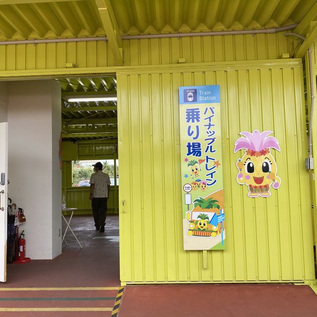 【沖縄･本島】南国の植物を楽しめる可愛い施設