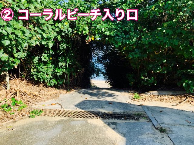 沖縄　電動自転車でゆく小浜島オススメ散策ルート❗️