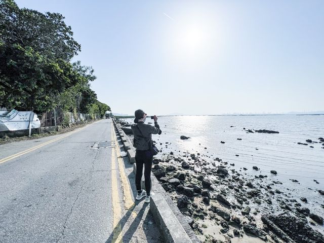 最美海景 下白泥