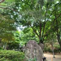 ☘️트립닷컴×보코서울강남과 함께한 환경의 날🍀
