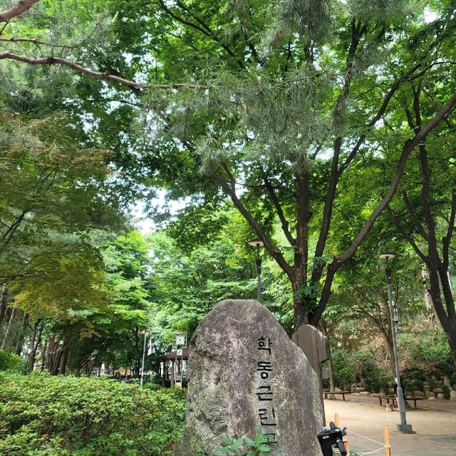 ☘️트립닷컴×보코서울강남과 함께한 환경의 날🍀
