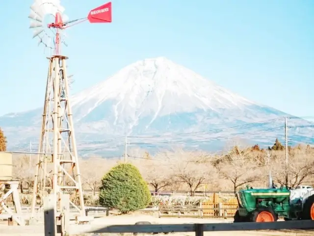 富士山牧場之旅🐮