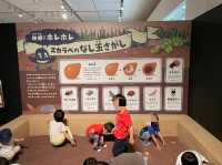 カブトムシを触れるコーナーまで！【ファーブル昆虫展】②