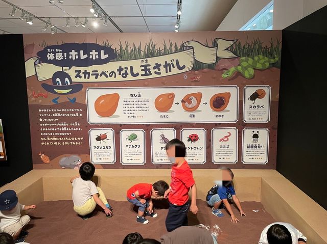 カブトムシを触れるコーナーまで！【ファーブル昆虫展】②