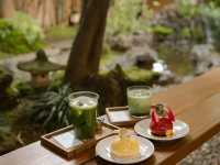 Best Matcha in Chiang Mai