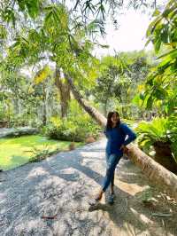 Poomjai Garden / Natura Cafe 