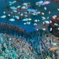 【池袋】サンシャイン水族館