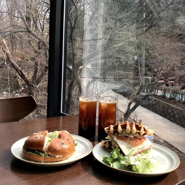 韓国/ソウル【陽川区】山の中のレストラン？🌳コーヒーから、ビールやワインも飲める自然いっぱい隠れ家🤎