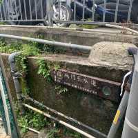【遊山玩水吃喝玩樂】大帽山山腰舊式茶樓飲早茶