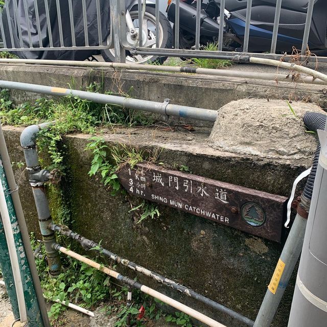 【遊山玩水吃喝玩樂】大帽山山腰舊式茶樓飲早茶