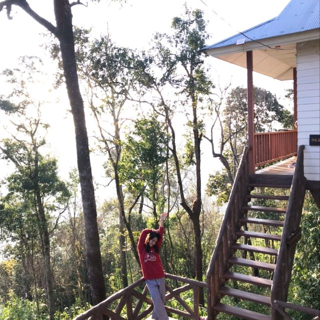 บ้านต้นไม้ อุทยานแห่งชาติทองผาภูมิ