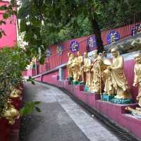 Ten Thousand Buddhas Monastery 