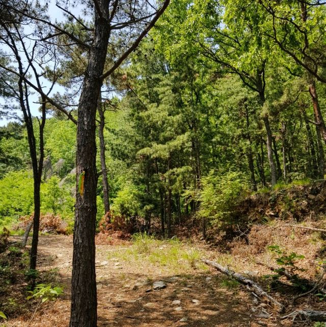 인천여행 강화도 화개산