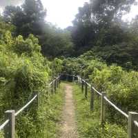 ruins and figs trail  