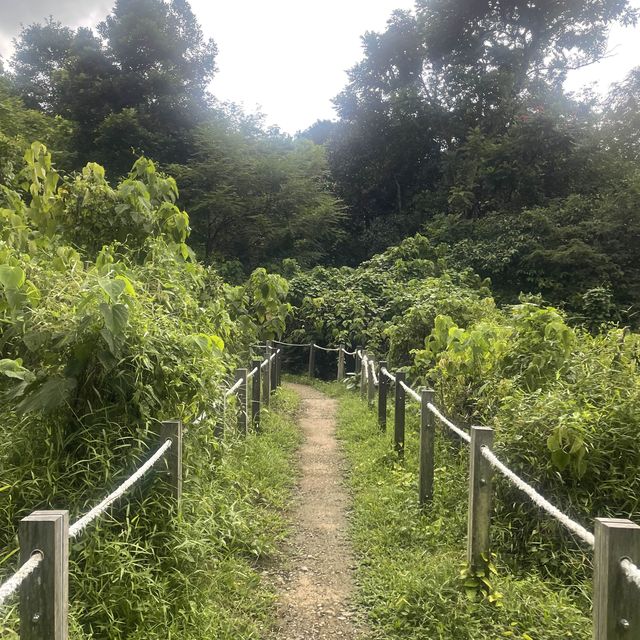 ruins and figs trail  