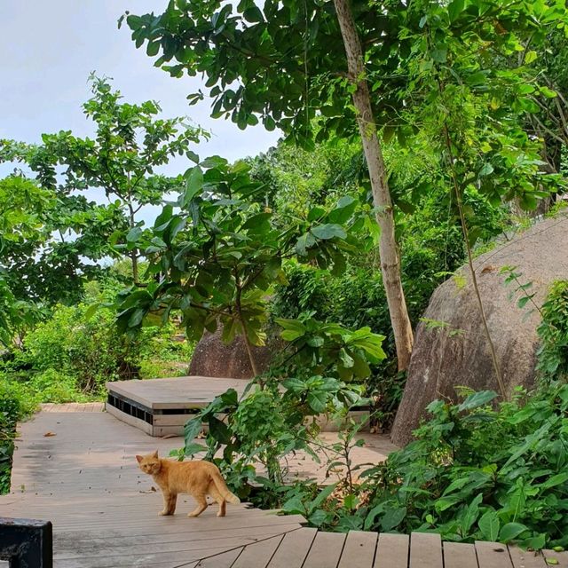 ชมวิวทะเล @ วัดเขาเก้าแสน เมืองสงขลา