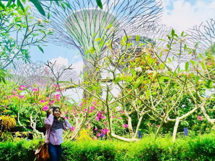 Beautiful gardens & a must see at Singapore