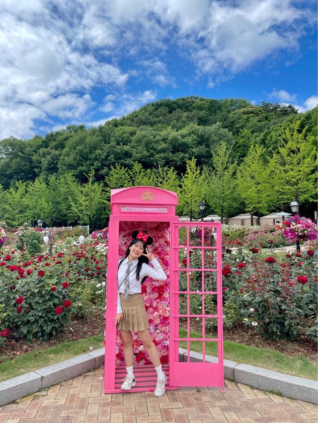 내년 6월 꼭 가야할 에버랜드 장미축제🌹🌷