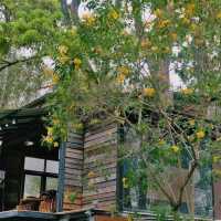 No. 39 cafe