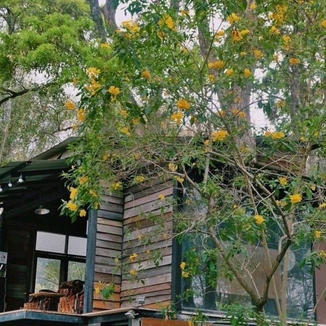 No. 39 cafe